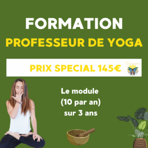 Formation personnelle ou professeur de yoga sur 3 ANS